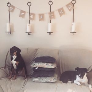 Meet your Posher, Alison